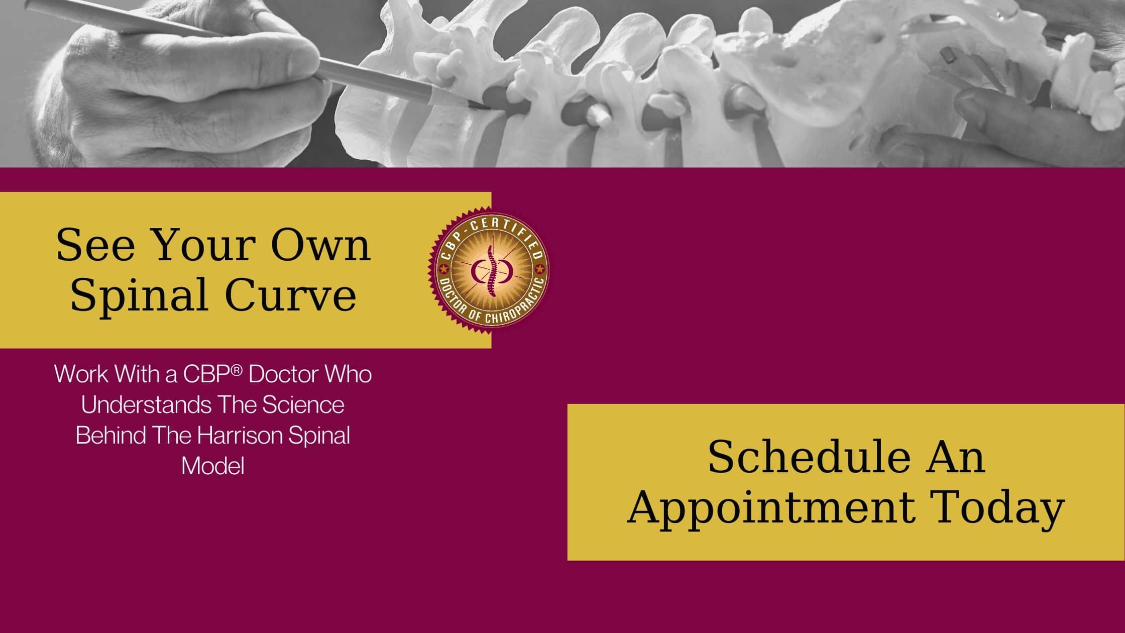 How to Use the CBP® Spine Model to Measure Your Neck Pain